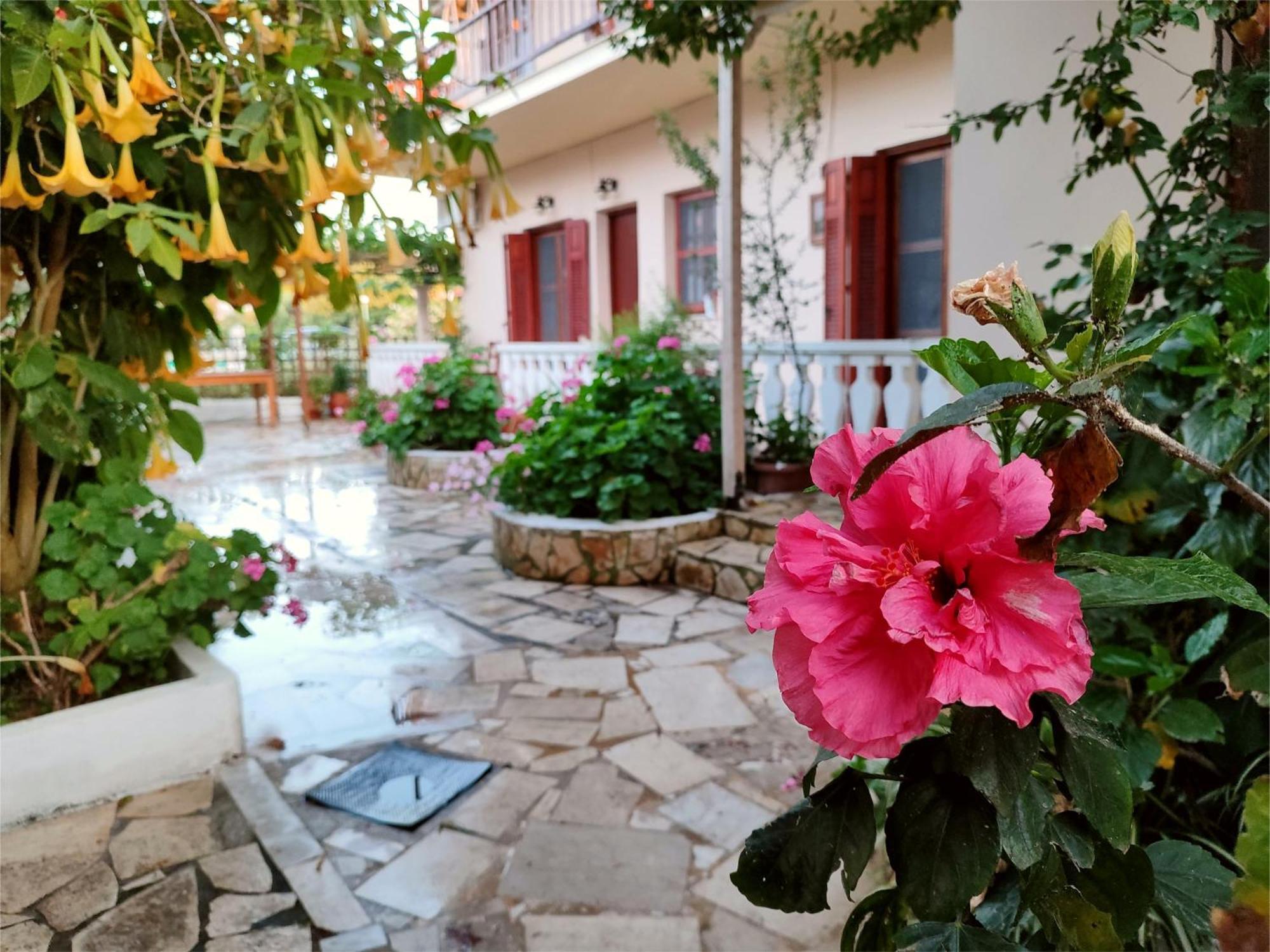 Electra's Seaside Appartement
